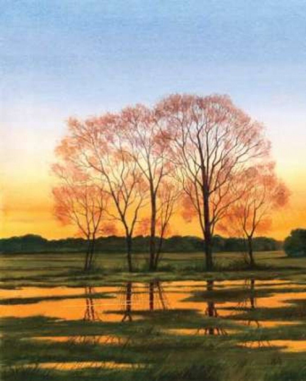 Marsh at Dusk I Poster Print by William Duke - Item # VARPDXDKE012